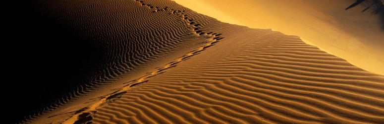 صحرانوردی در ایران 