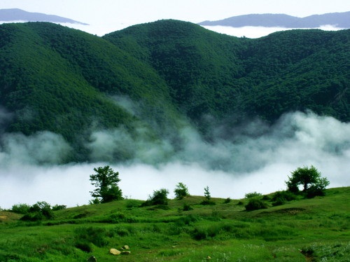 غابة ابر ایران