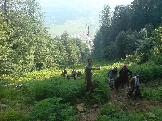 نمک آبرود شمال ایران