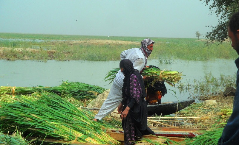 الأهواز                                                            محافظة خوزستان الأهواز