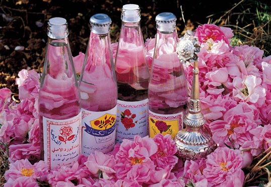 مراسم صناعة ماء الورد في ايران