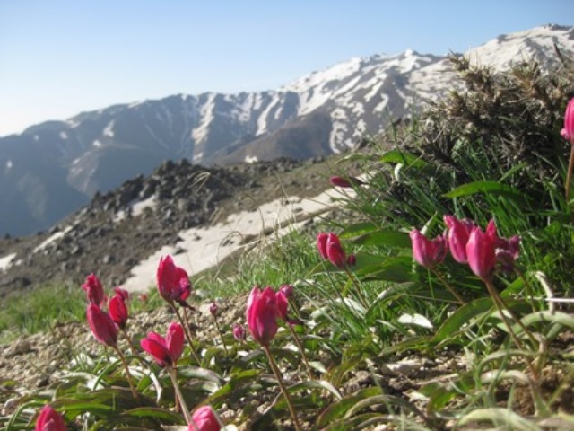 همدان ایران جمیلة