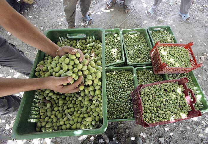 رودبار شمال ایران 