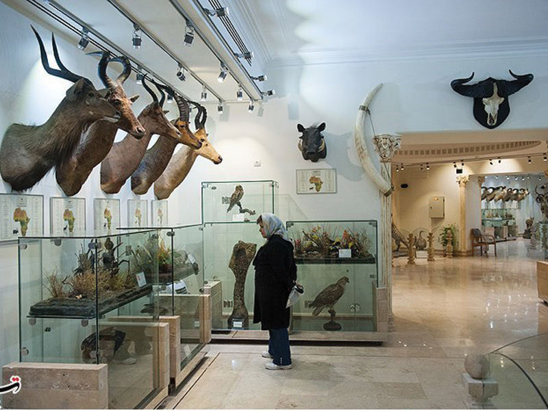 متحف الدار المعمورة (موزه دارآباد )