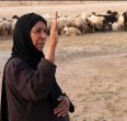  "البدو الرحالة و اهل الأهوار "