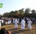 تقریر مصور من جمال و سباق خیول الاصیله العربیة في الاهواز