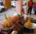 النخيل في جنوب ايران