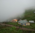 Talesh