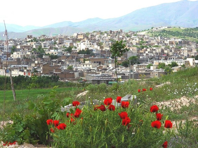 كردستان 