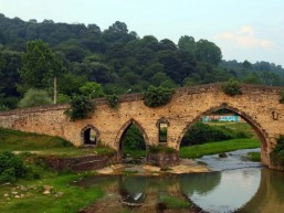 شیرگاه شیرگاه