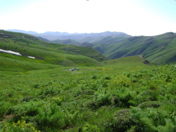 اطلاعات کلی درباره طبیعت گردی اطلاعات کلی درباره طبیعت گردی