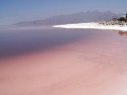 Il lago Urmia