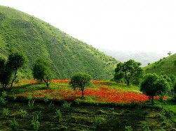 Kurdistan 