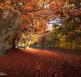 4 Seasons in Iran