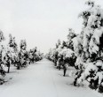 4 Seasons in Iran