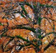 4 Seasons in Iran