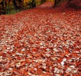 4 Seasons in Iran