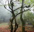 4 Seasons in Iran