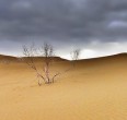 Desert in Iran