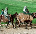 Nomads in Iran