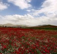 Kurdistan 