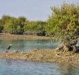 Qeshm Island