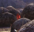 Rural Tourism