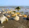 La isla de Qeshm