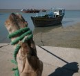 La isla de Qeshm