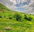 Provincia de Kurdistán
