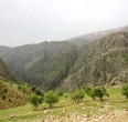 کردستان