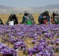 مردم روستایی ایران