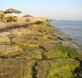 Kish Insel