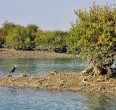 Qeshm Insel