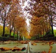 4 Stagioni dell'Iran