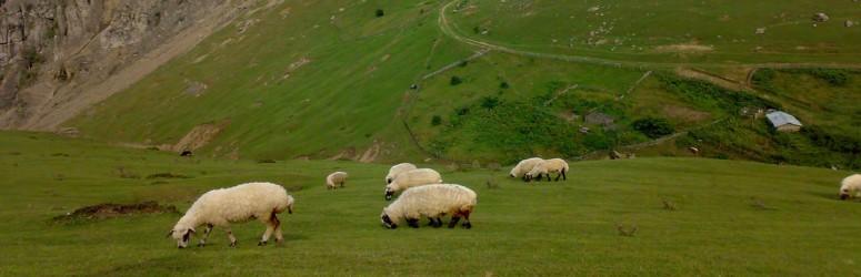 ماجراجویی در زندگی روستایی ها