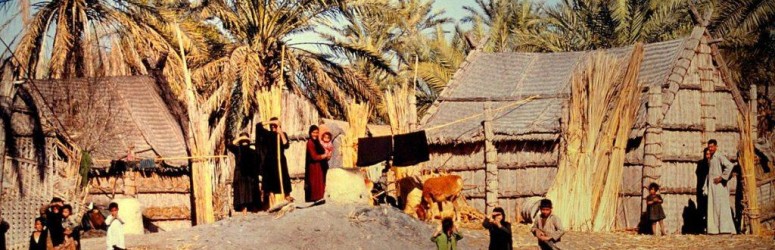 المناطق الريفية المناطق الريفية