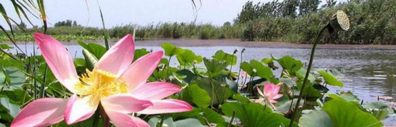 Cultural –Safari Tour (Eco tourism) Cultural –Safari Tour (Eco tourism)