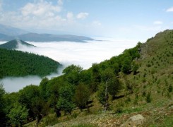 طبیعت گردی  - 